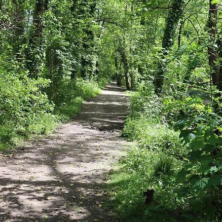 Fugato, Pays De Caux, 5 Personnes, 10km De La Semesterbostad
