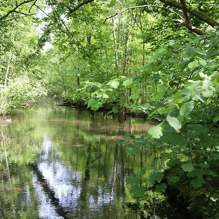 Fugato, Pays De Caux, 5 Personnes, 10km De La Semesterbostad Valmont (Seine-Maritime)